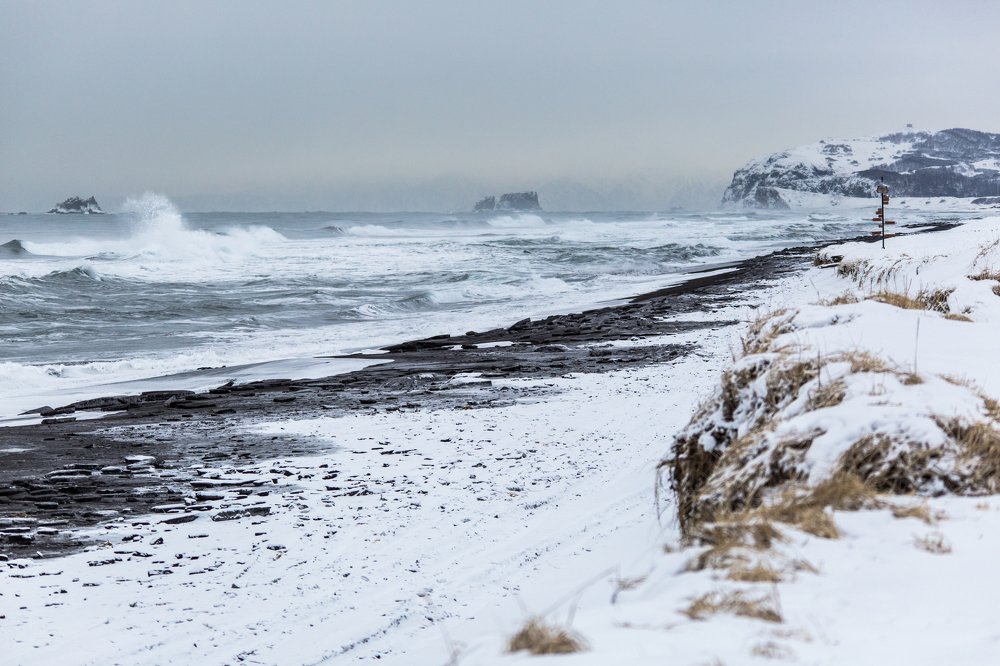 Photograph by Елена Верещака