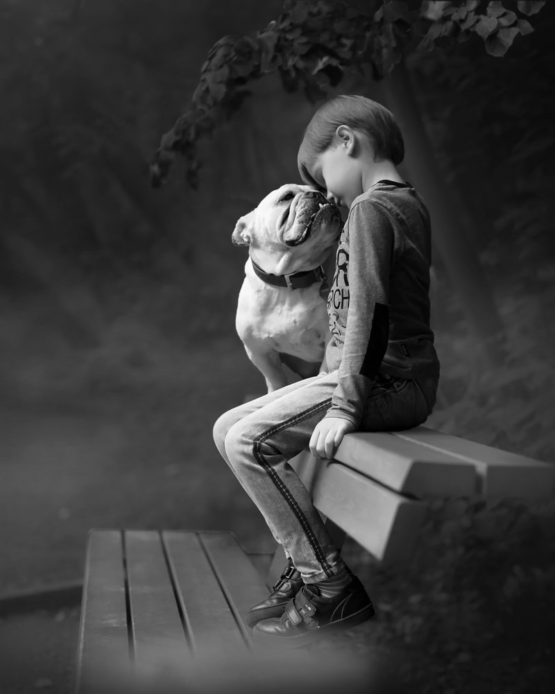 Я тебя не брошу