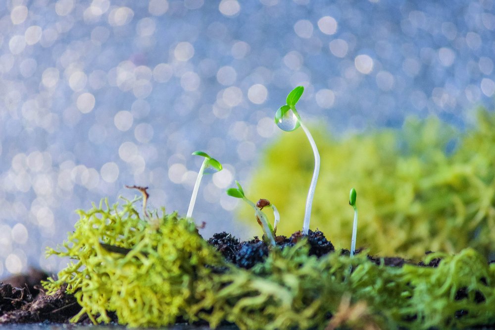 Photograph by Маргарита Федурина