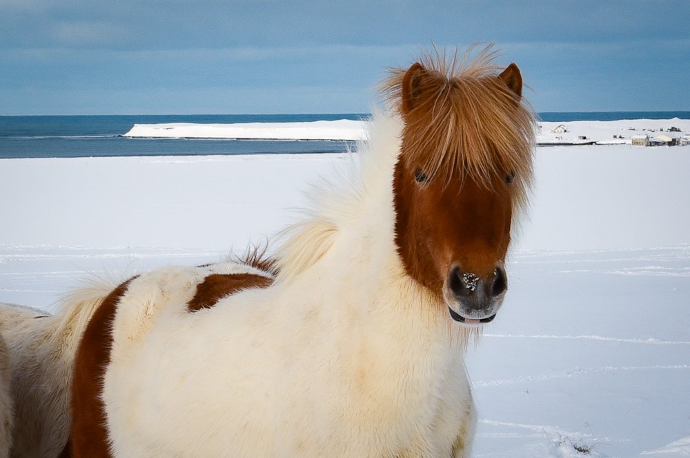 Фотография автора Gabriela Bonilla