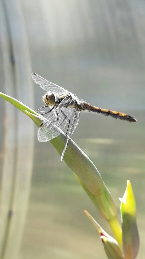 Последний день лета