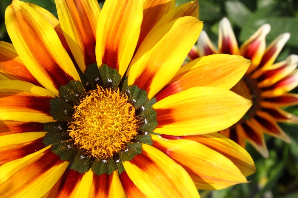 Photograph by Елена Горбунова