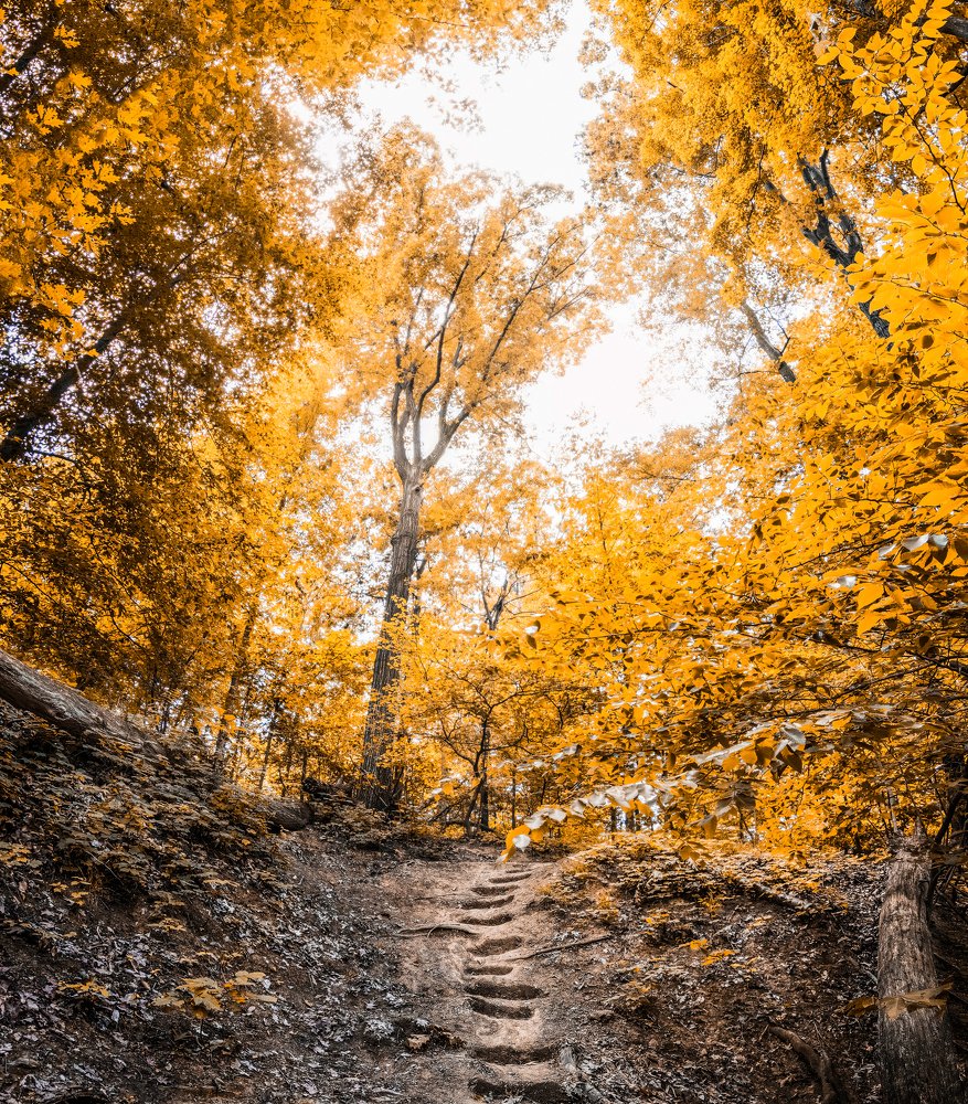 Photograph by rami yazagi