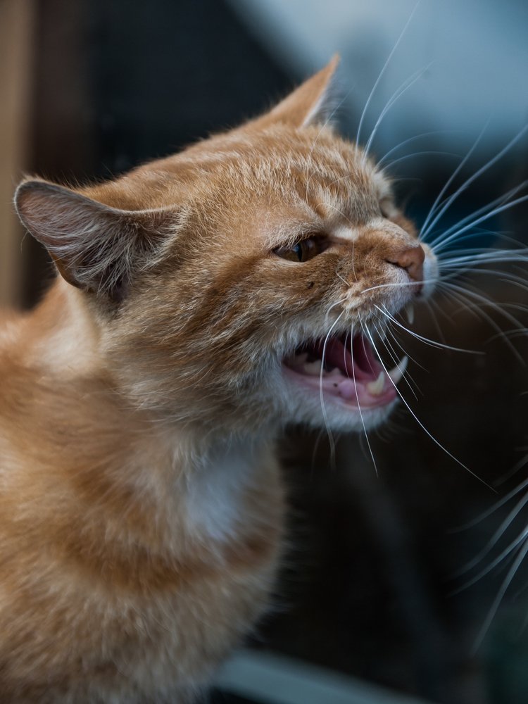 Photograph by Ольга Климович