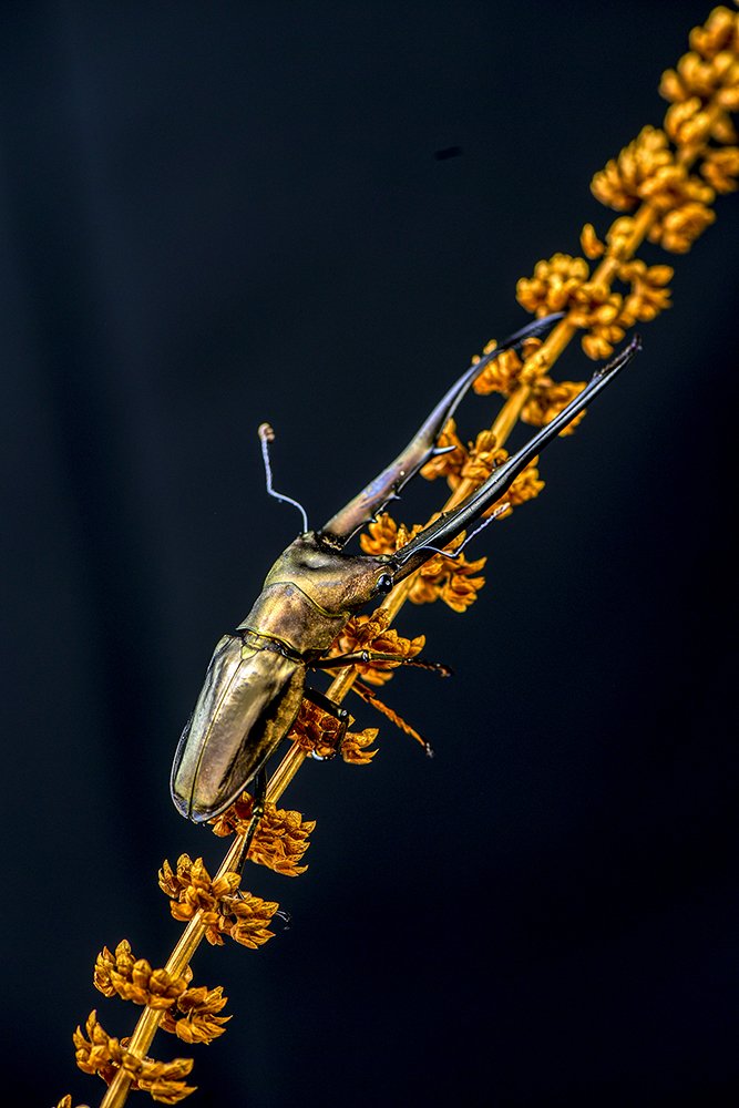 Photograph by Alexander W