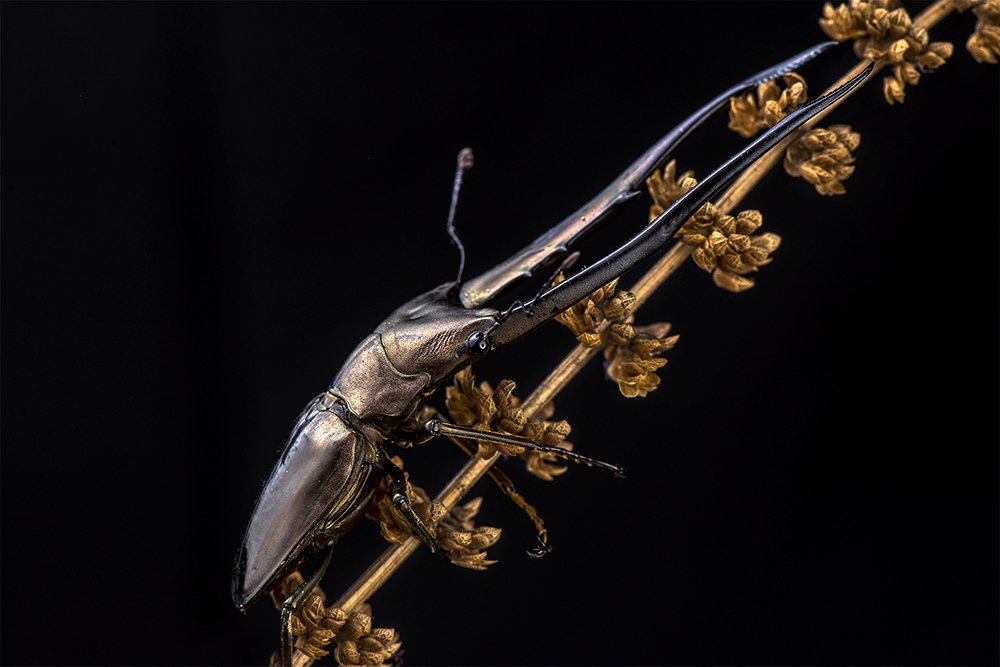 Photograph by Alexander W