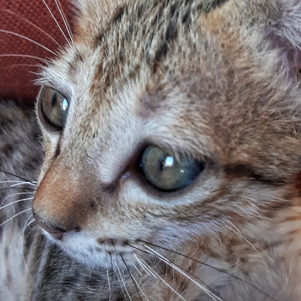 Photograph by bapodara sugha