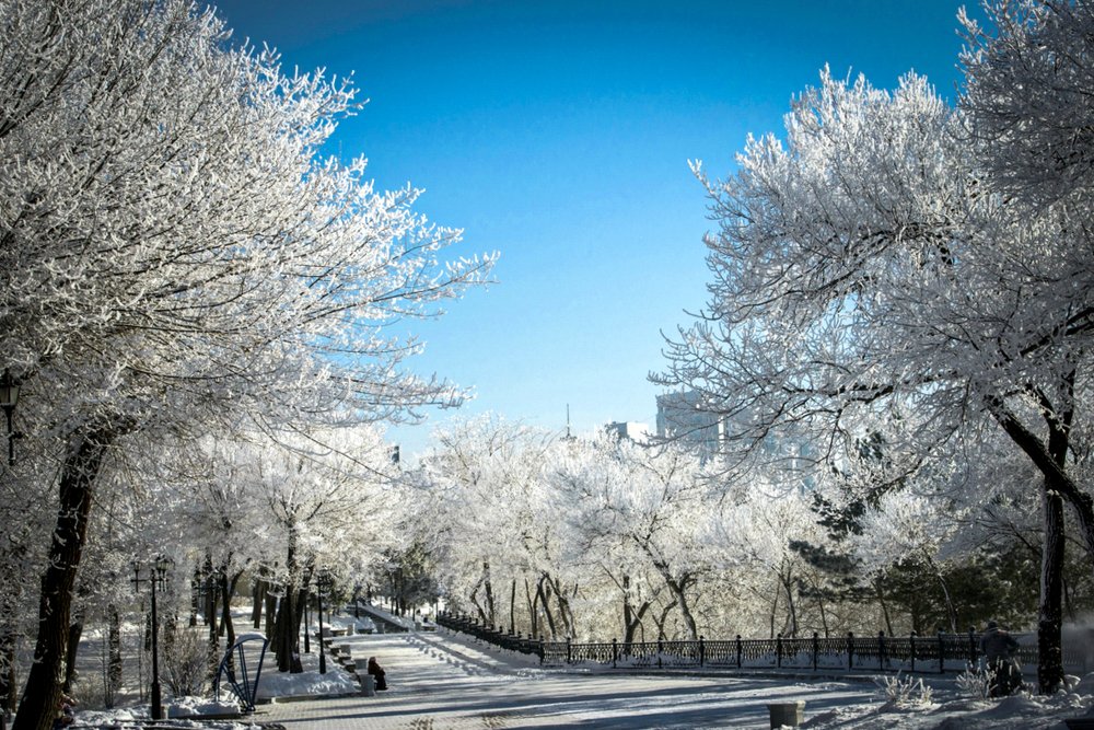 Фотография автора Игорь Чураков