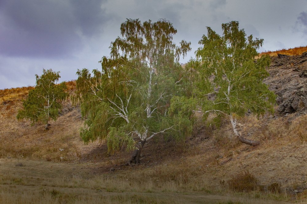 Photograph by петр чиков