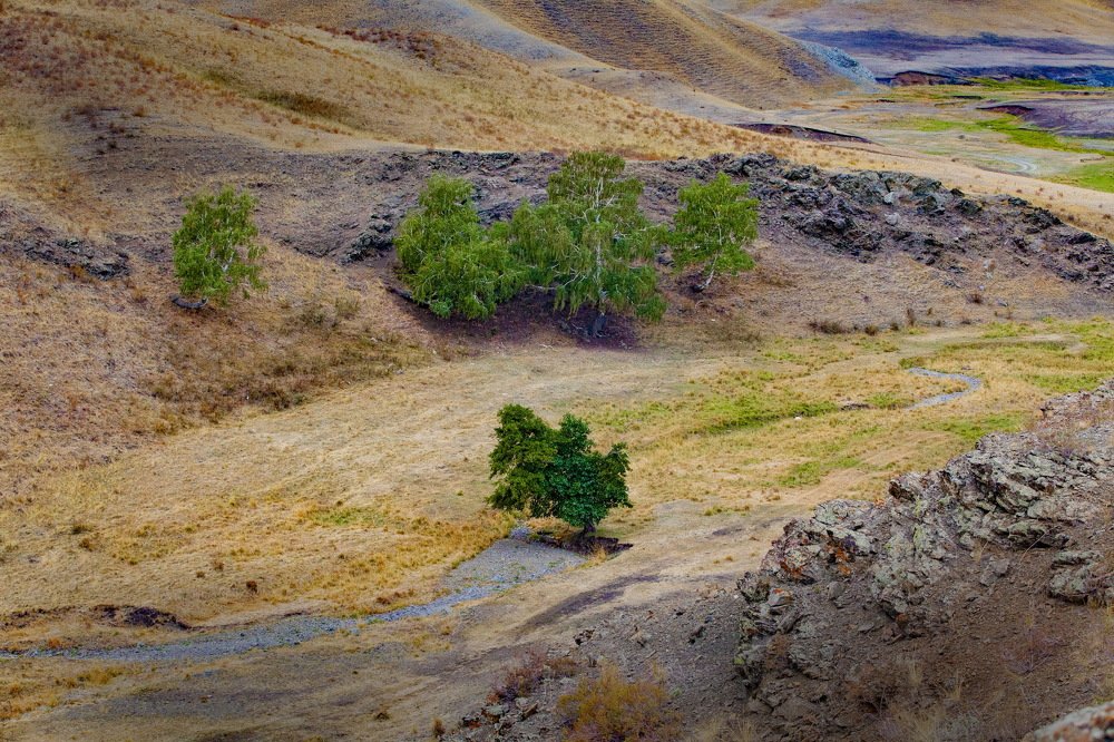 Photograph by петр чиков