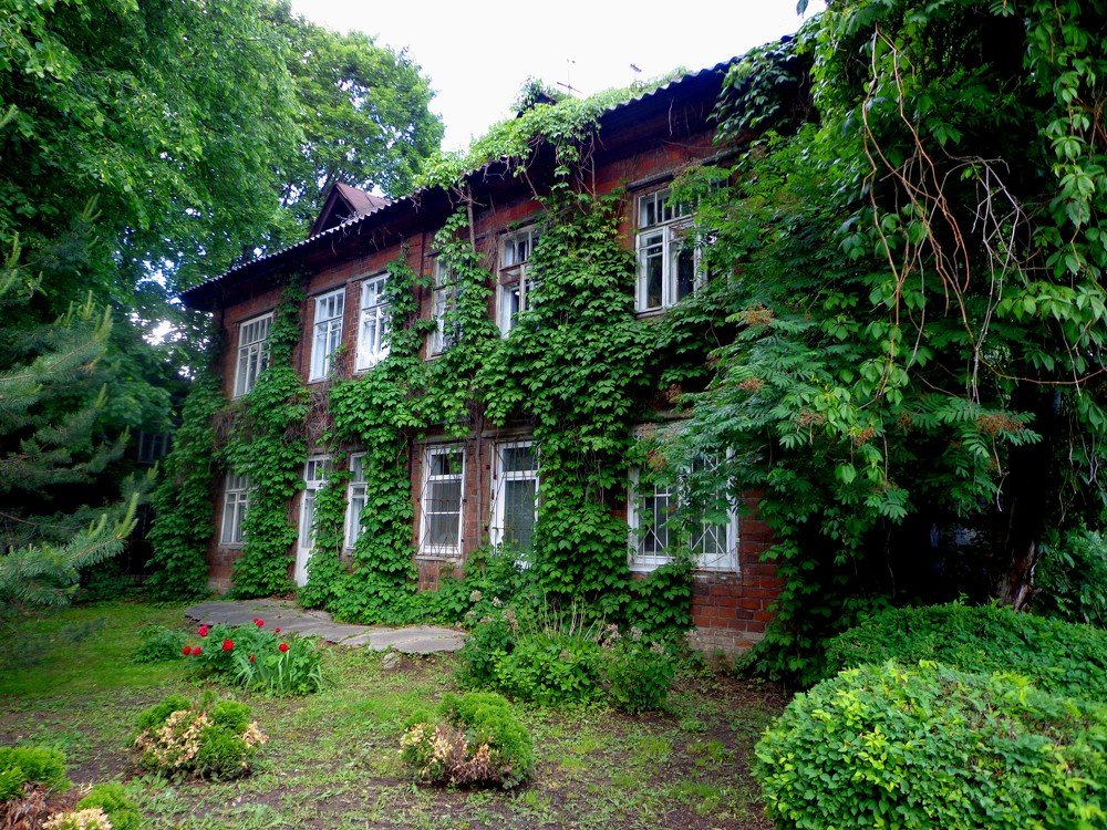 Photograph by Наталья Сазонова