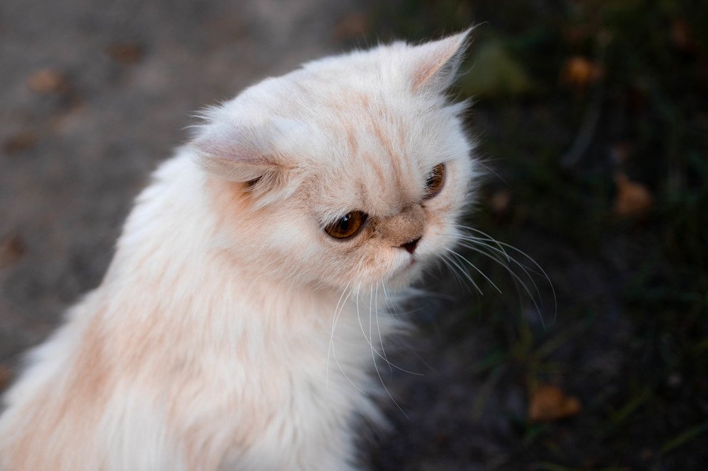 Photograph by Ольга Гаврикова