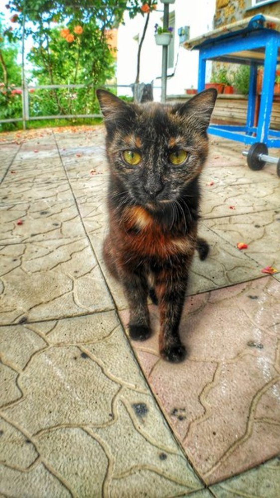 Photograph by Андрей Ероха