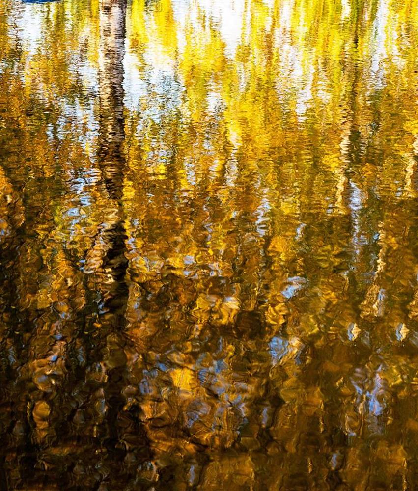 Photograph by Сергей Киселев