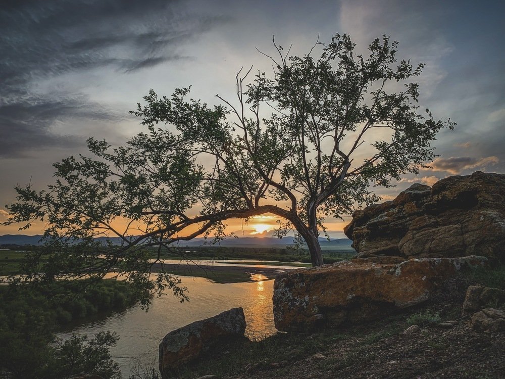 Photograph by Mark Sky