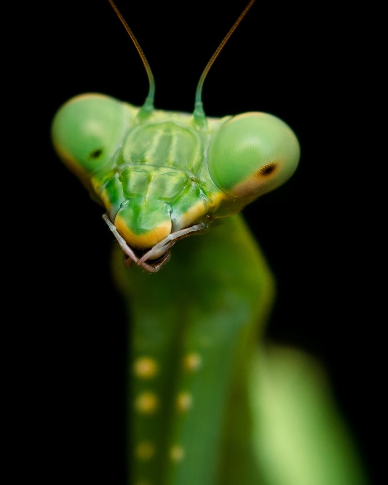 Photograph by Jerian Dale Figueroa