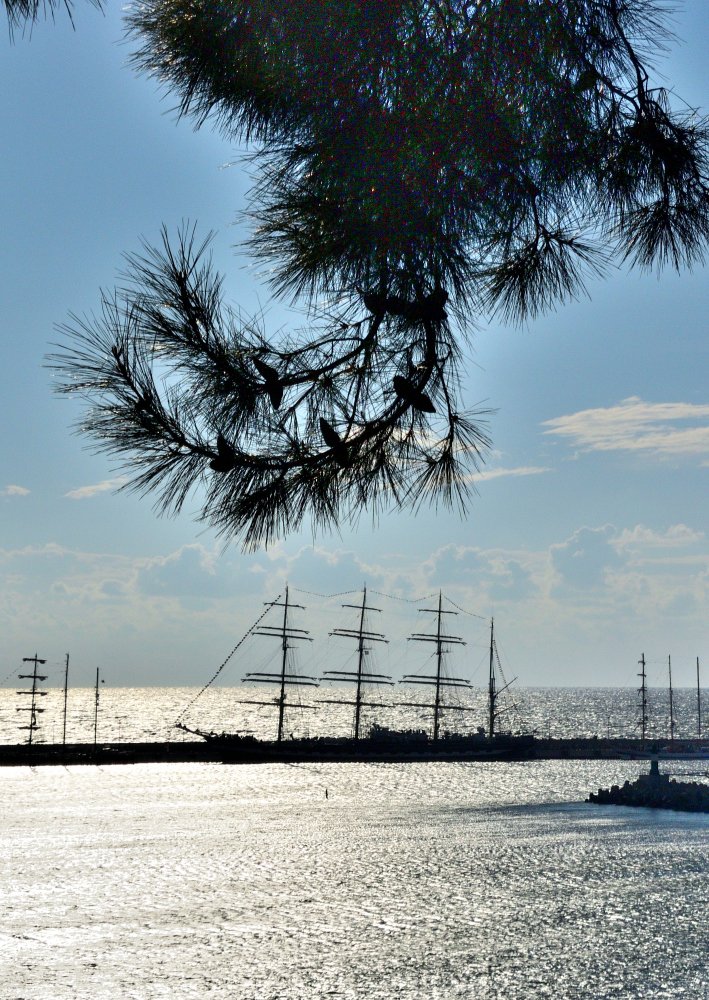 Photograph by Александр Карпенко