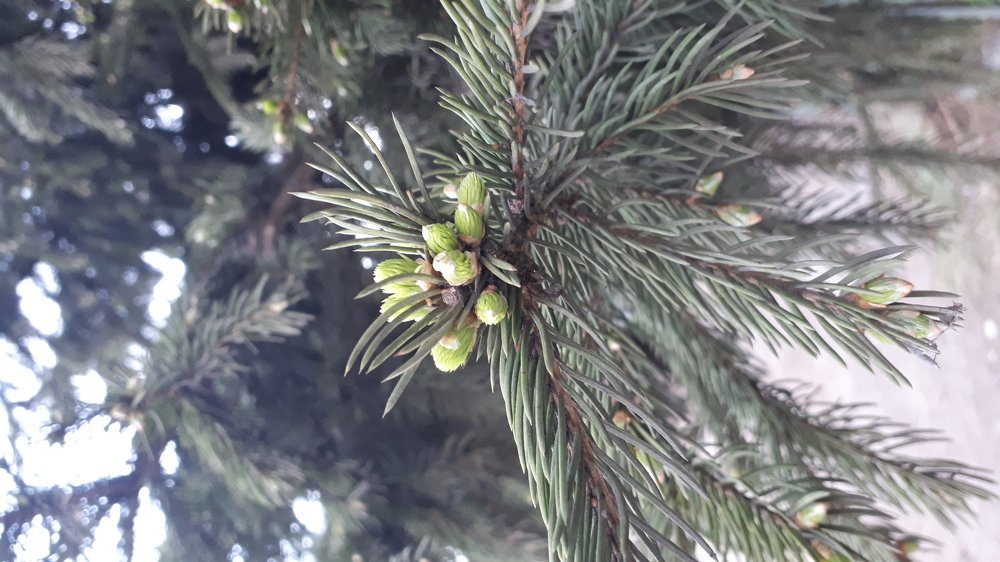 Photograph by Кадырова Анастасия