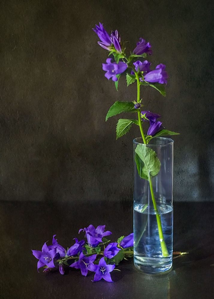 Photograph by Сергей Киселев