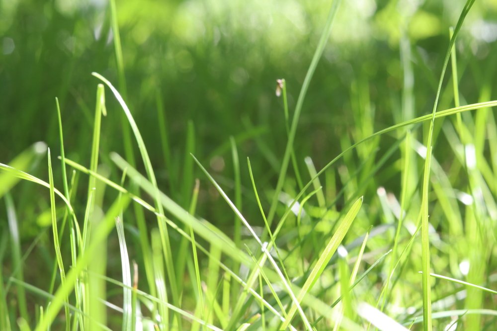 Фотография автора Ольга Никанович