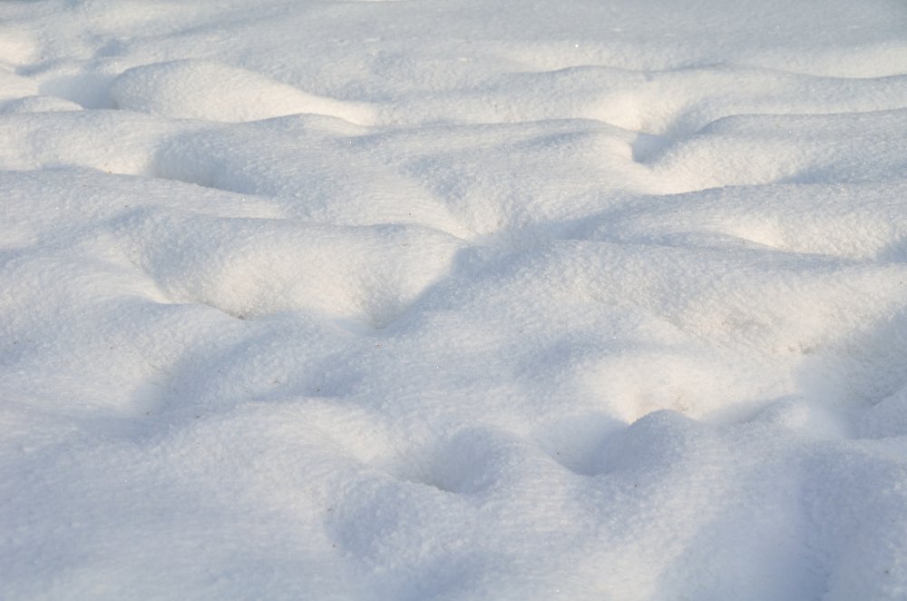 Photograph by Александр Карпенко