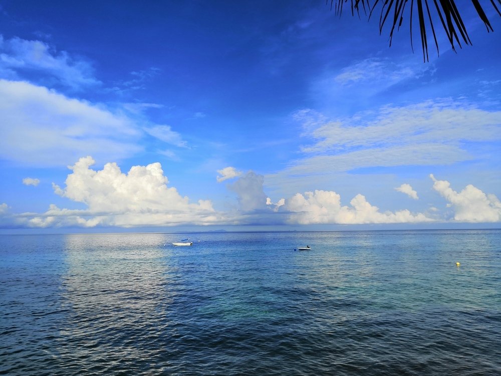 Blue Horizon