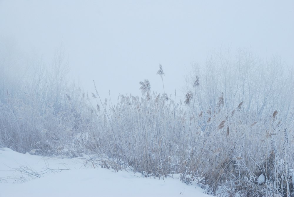 Photograph by Александр Карпенко