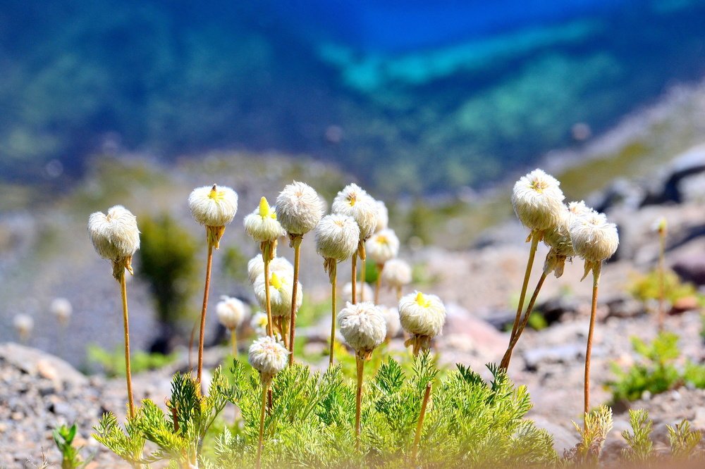 Photograph by Sudipta RAKSHIT