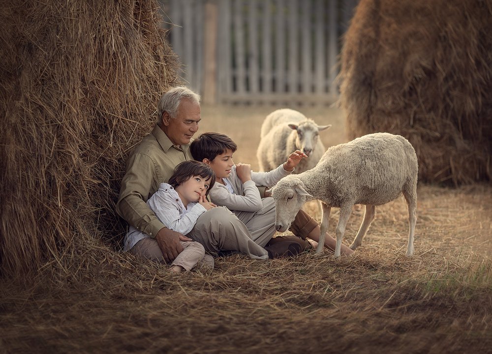 Фотография автора Дарья Степанова