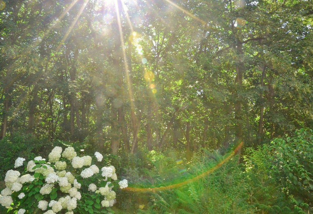 Photograph by Елена Соловьева