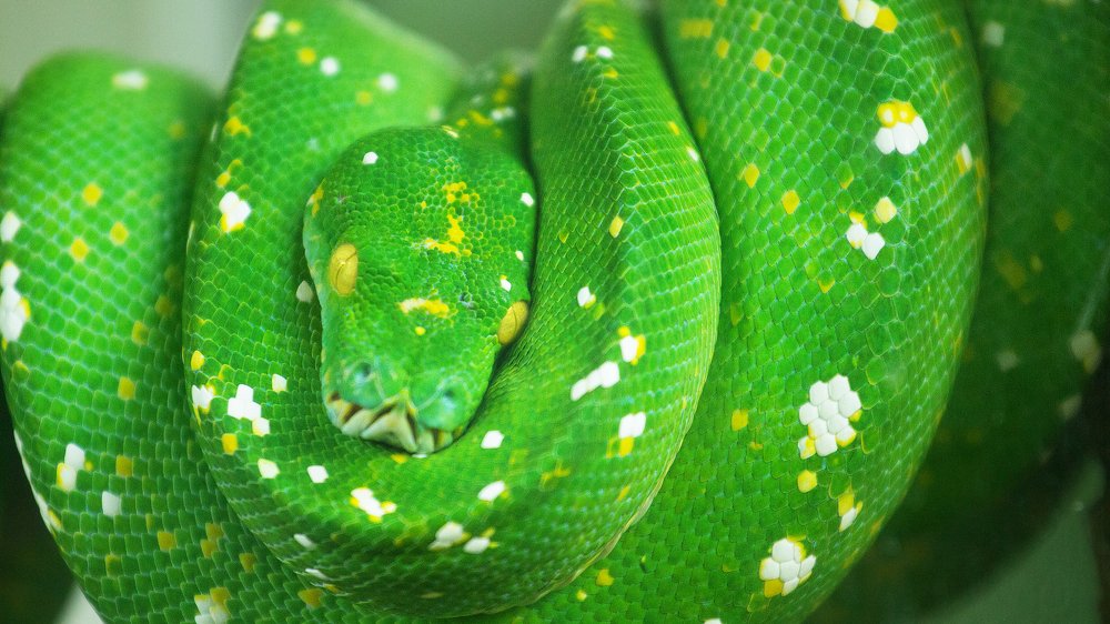 Photograph by Reza Harahap