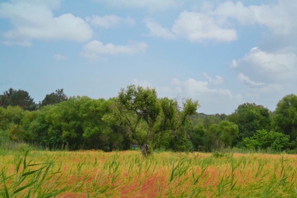 Photograph by Елена Соловьева