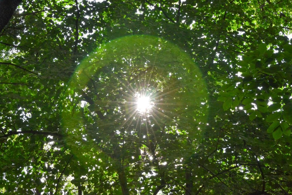 Photograph by Елена Соловьева