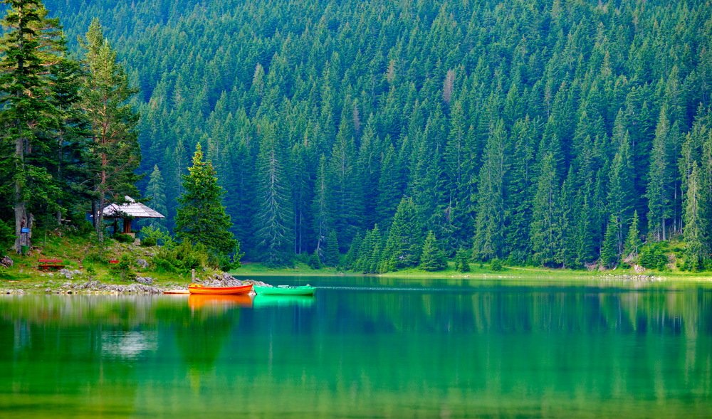 Photograph by Светлана Борозенцева