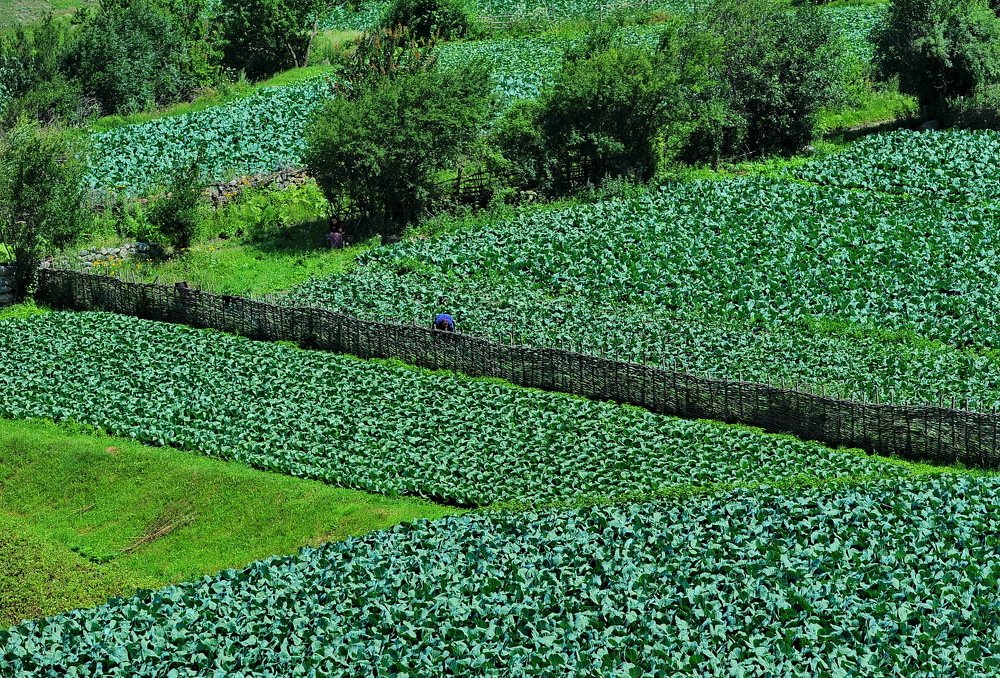 Photograph by Светлана Борозенцева