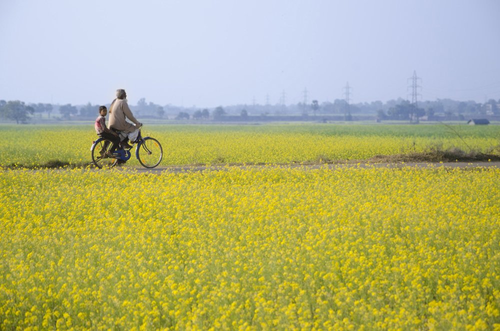 Photograph by SUSAVAN DAS