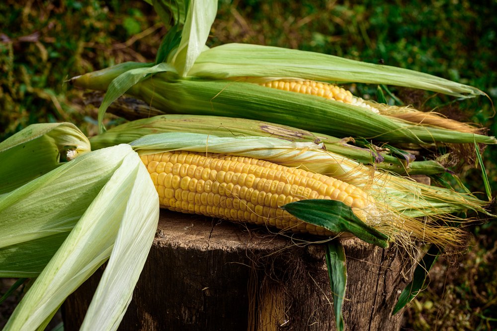 Царица полей