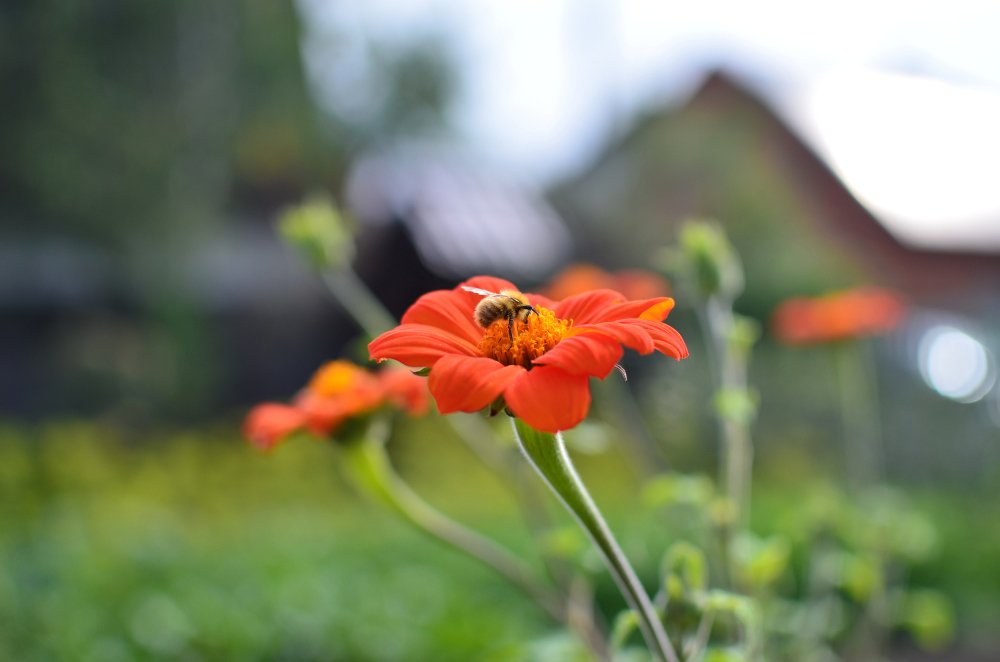 Photograph by Александр Карпенко