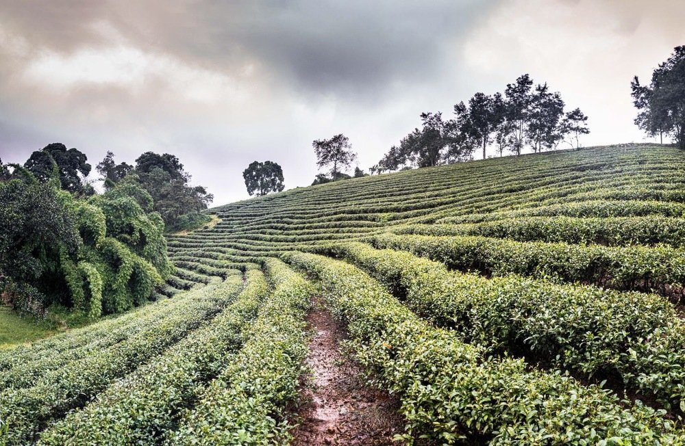 Photograph by Александр Кононов