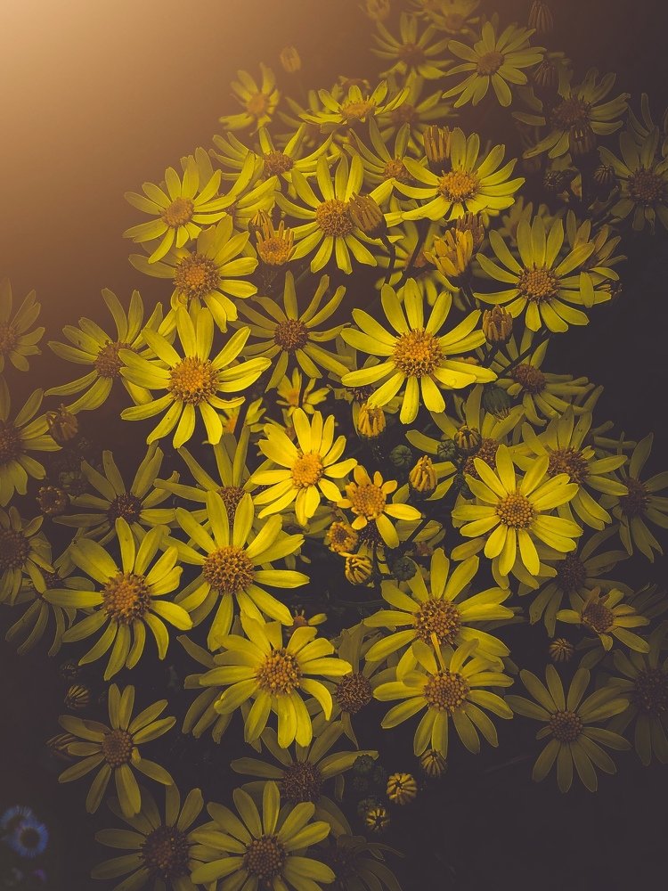 Photograph by Elen Vorontsova