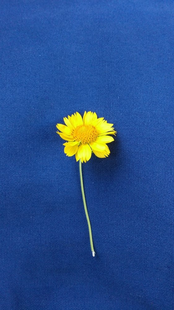 Photograph by Aytən Dadaşova