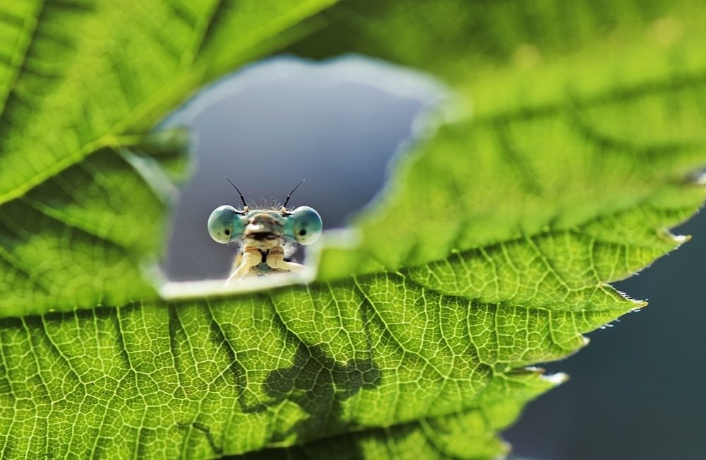 Photograph by Лапшина Владлена