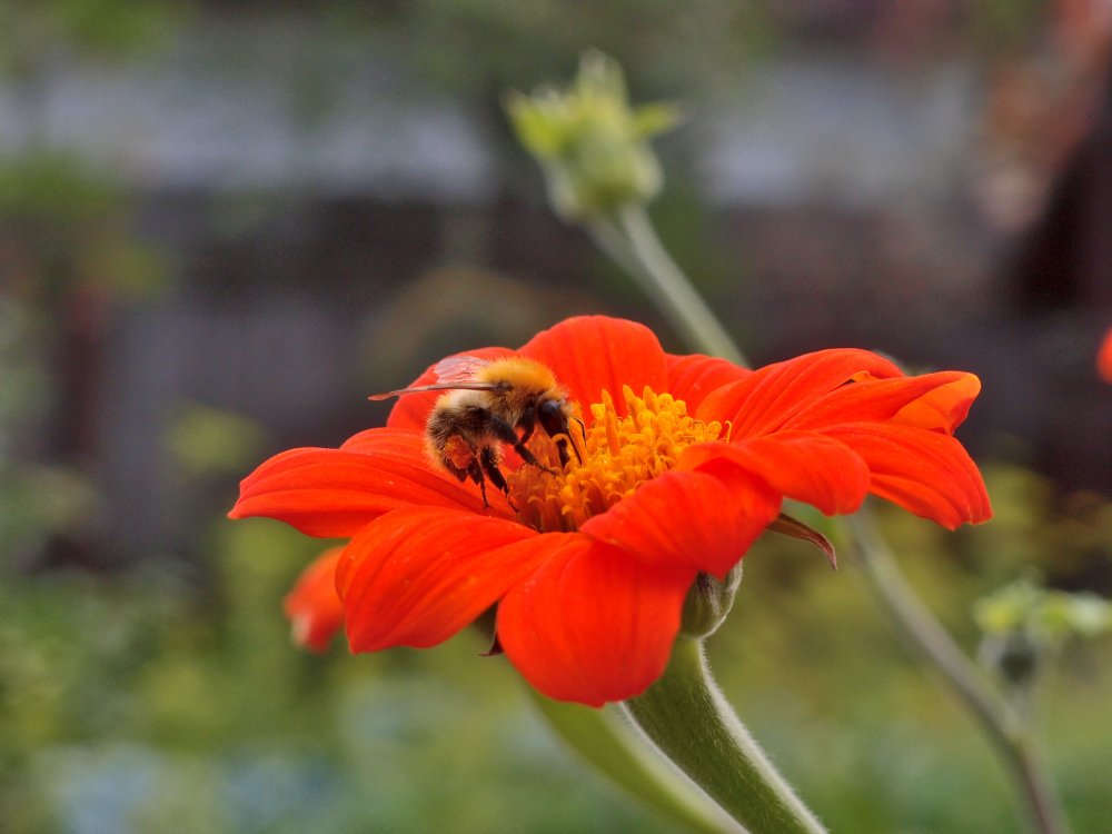 Photograph by Александр Карпенко