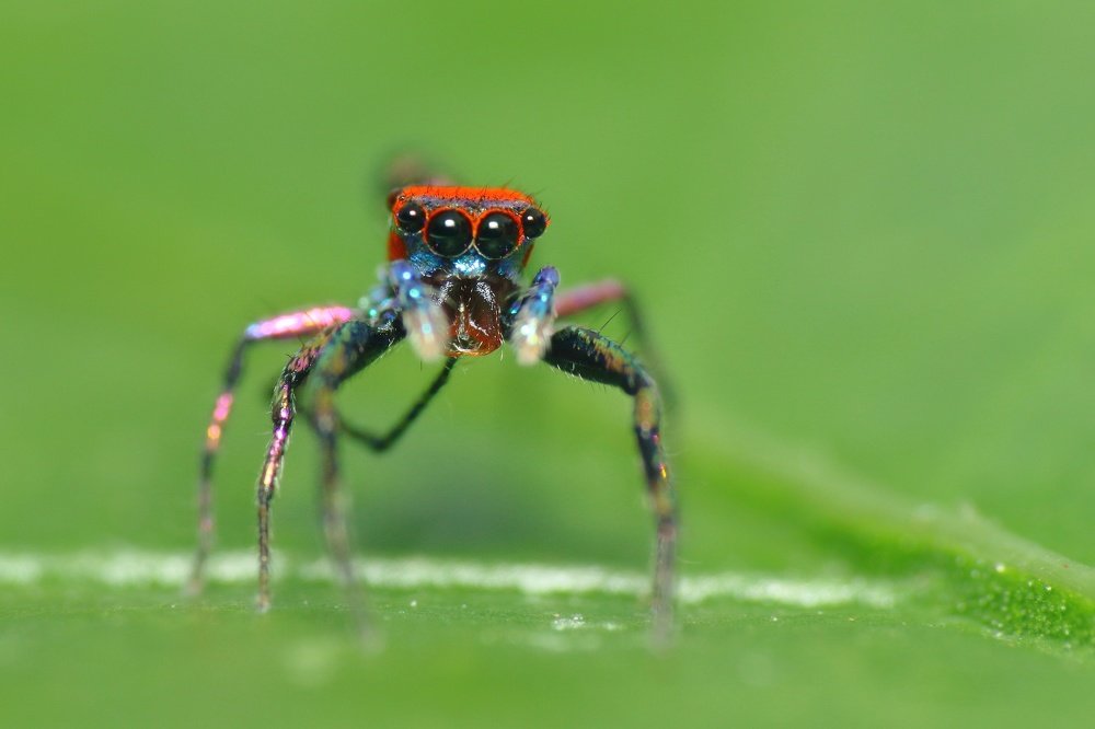 Photograph by Aditya Kshirsagar