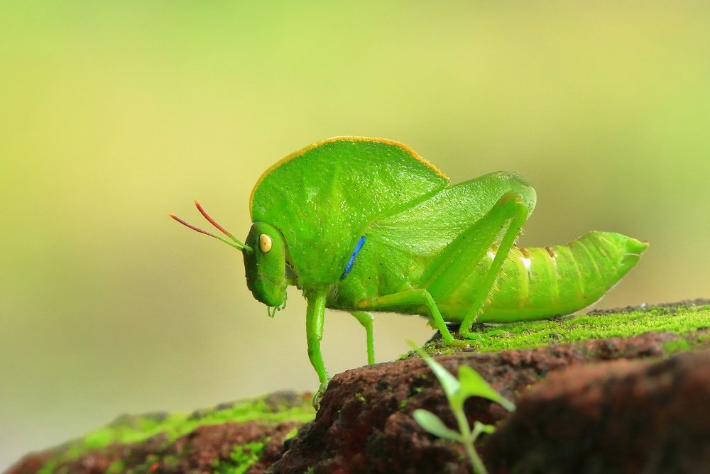 Photograph by Aditya Kshirsagar