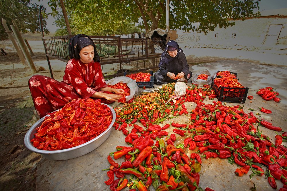 Фотография автора Mirkan Tunc