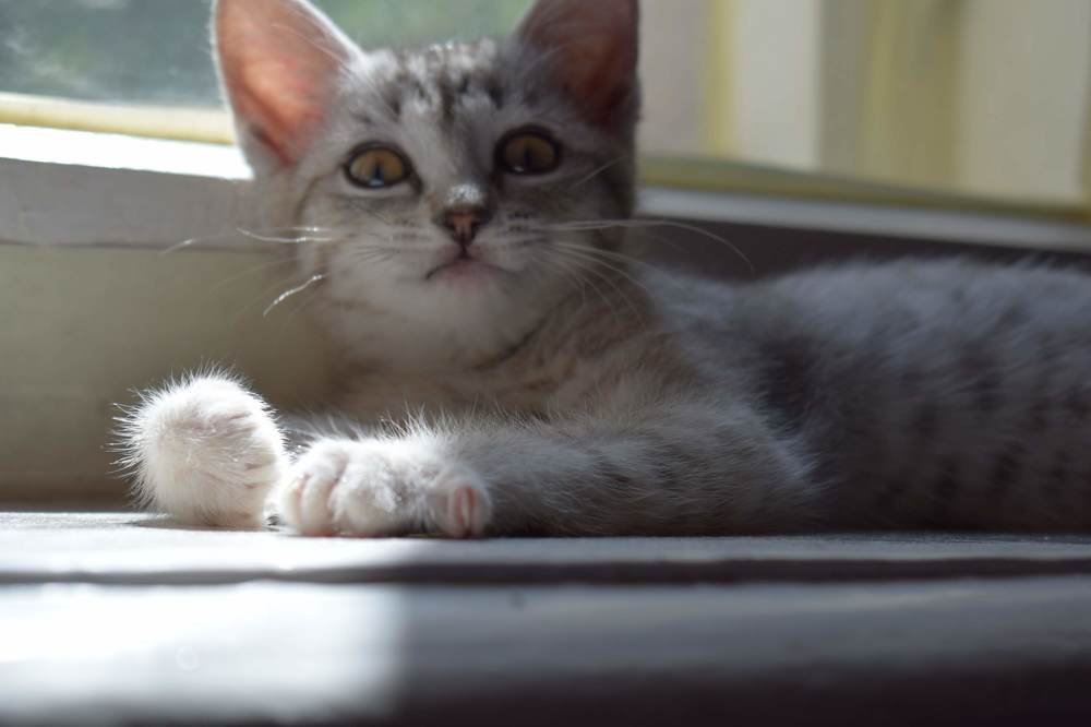 Photograph by Екатерина Вострякова