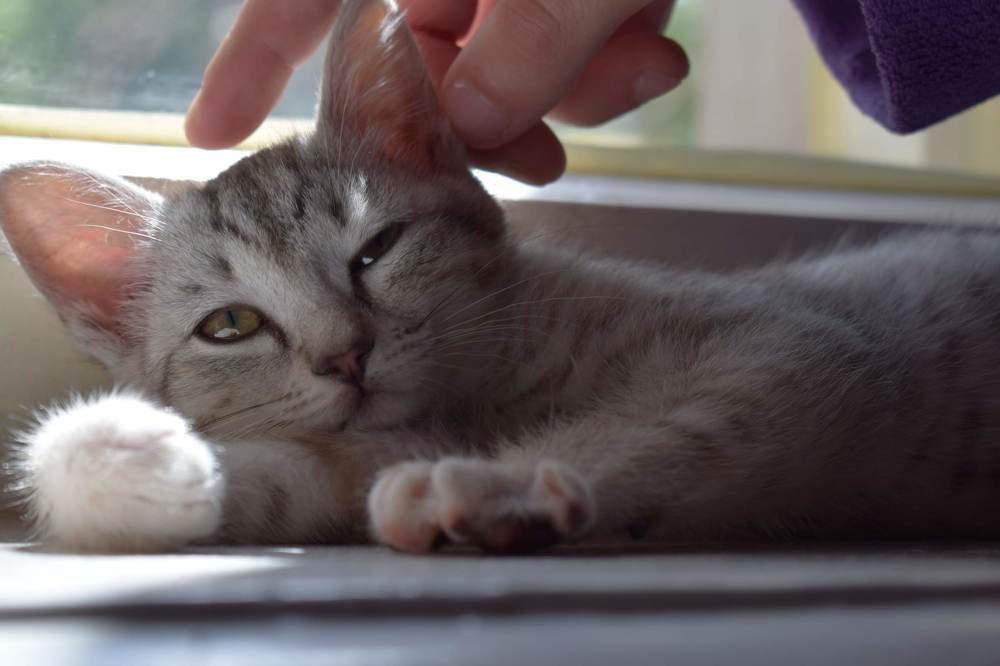 Photograph by Екатерина Вострякова