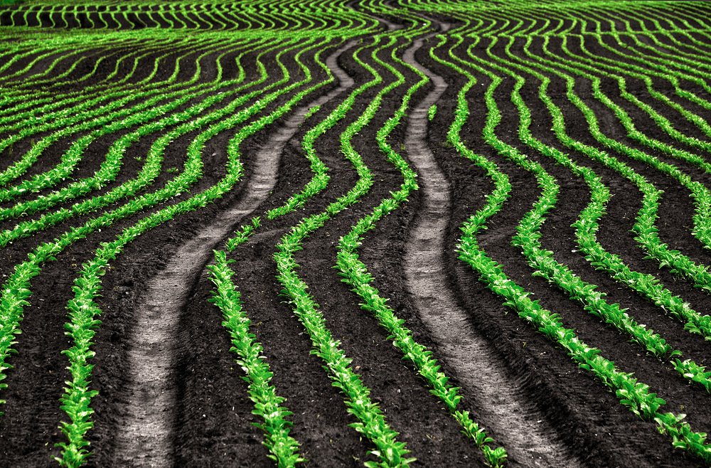 Photograph by Aeromast