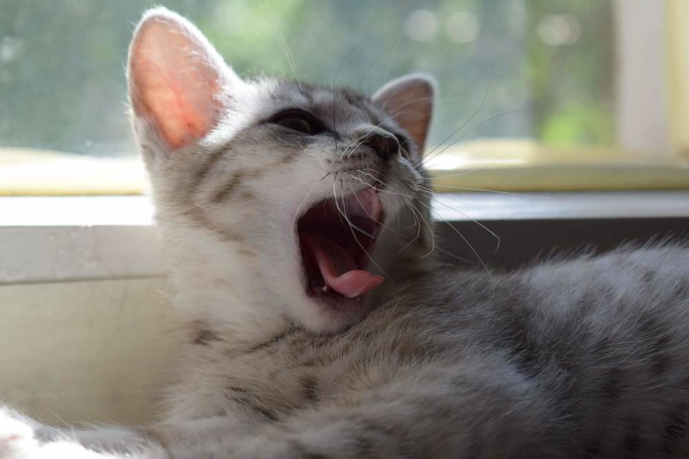 Photograph by Екатерина Вострякова